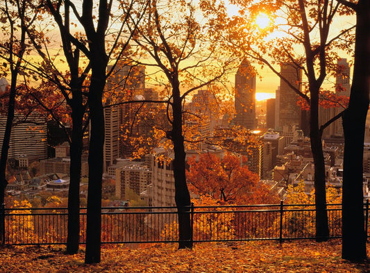 Montreal in Autumn